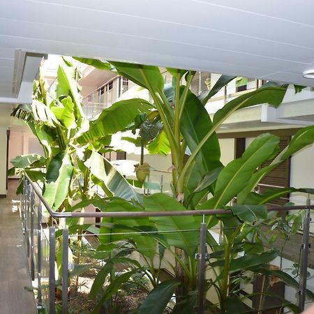 Studio Zenazur Apartman Antibes Kültér fotó